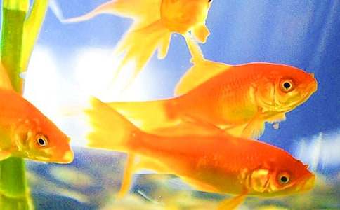 ���~�^�����ģ�ͨ��21ƪ��