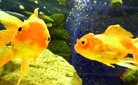 ���~ͯԒ�����\��5ƪ