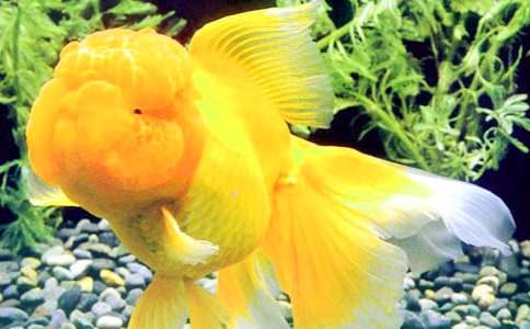 �茑���~���ӵ�����400�֣�ͨ��54ƪ��