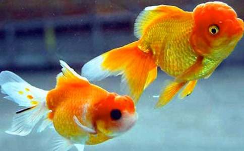 ���~�ְ����ģ�ͨ��20ƪ��