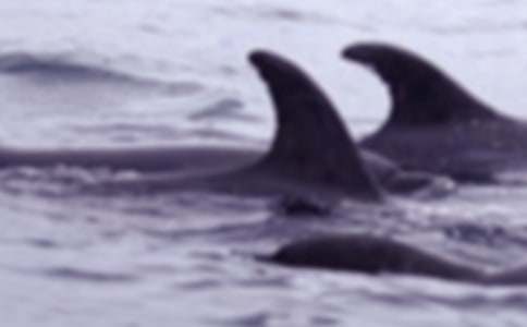 Ո�J��  �L�~����������