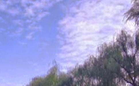 �茑���Ͼ�ɫ�����ģ����x25ƪ��