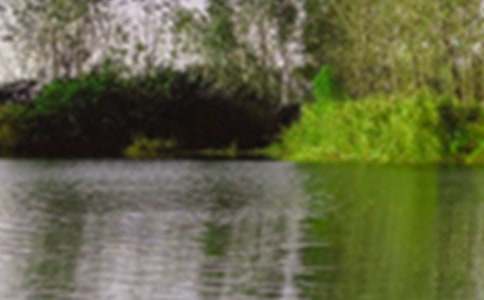 小區的景色作文4篇