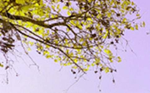 �茑��ɽ��ɫ������4ƪ