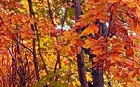 Ȫ�ݾ�ɫ����2000��