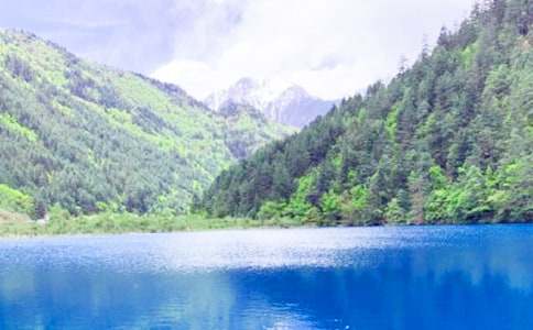 ������կ������