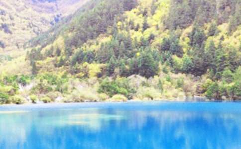 �������Ĵ���կ������500�֣����x39ƪ��