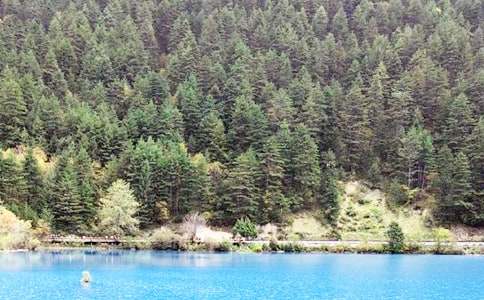 ��կ���������ľ��x11ƪ