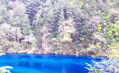 ��կ�ϵ���������