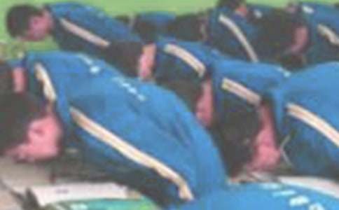 向生命鞠躬小學作文