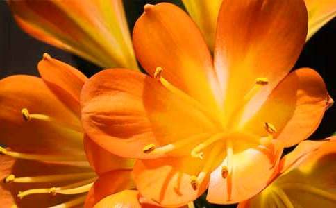 �����m���^�����ģ����x10ƪ��