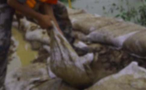 感謝抗洪救災句子(通用150句)