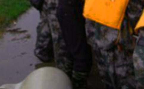 2022抗洪救災的句子(精選130句)