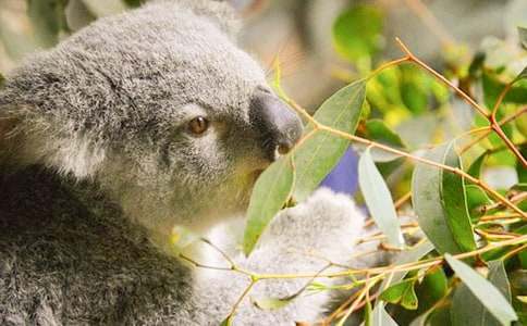 ����ϲ�g�Ą��￼��С�W����