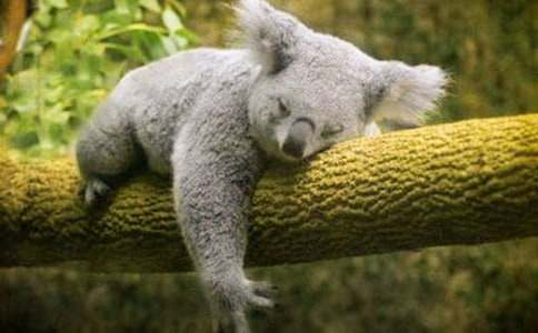 �ɐ۵Ŀ�������400��