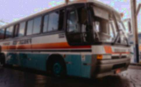 ���\��ȫ��z���Բ��棨���x12ƪ��