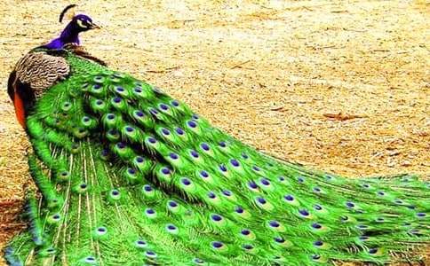 ��ȸ�~����