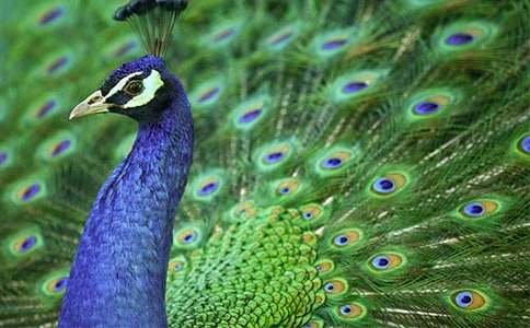 ��ȸ�~����400�֣����x29ƪ��