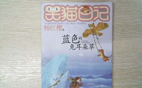 藍色的兔耳朵草讀書筆記