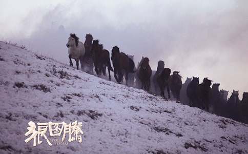 ���ǈD�v���x���ĵ�����