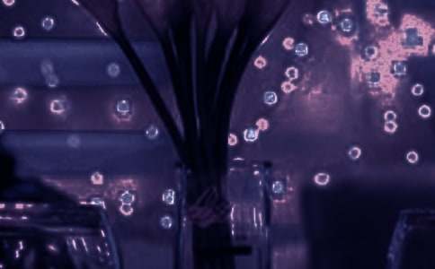 把浪漫吃完歌詞