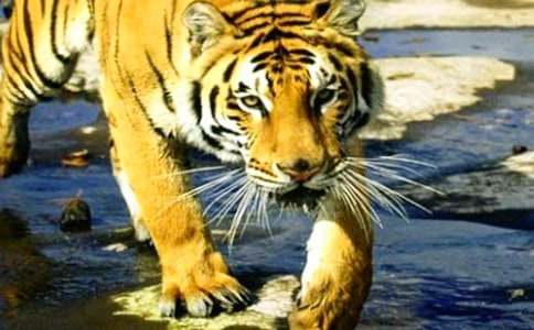 �Ե���С�ϻ�ͯԒ����