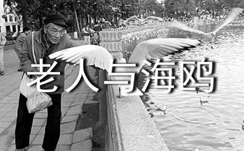 五年級語文下冊《老人與海鷗》課文