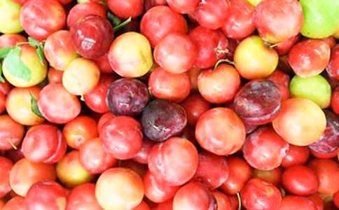 �����Ӻˡ��̰�