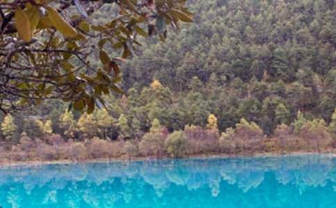 �����ųǳ�������