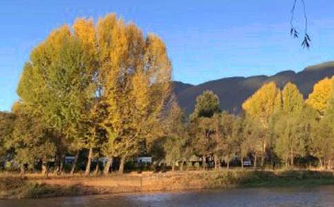 ���[�����ų�����400�֣�ͨ��40ƪ��