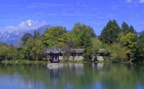 【精選】麗江作文500字四篇