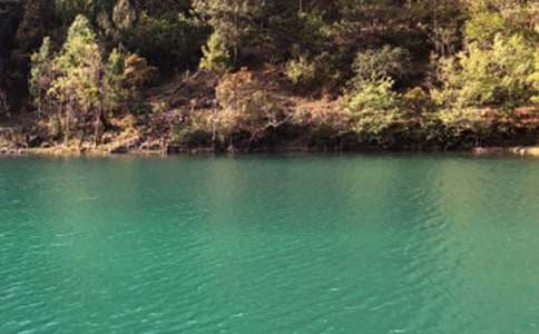 ���������ų�����