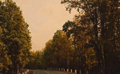 ���a���ϵ���ʹ_500��