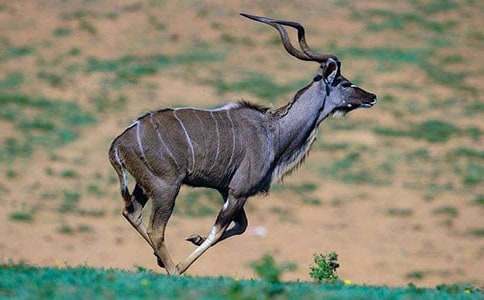 ����ľ���m��14ƪ