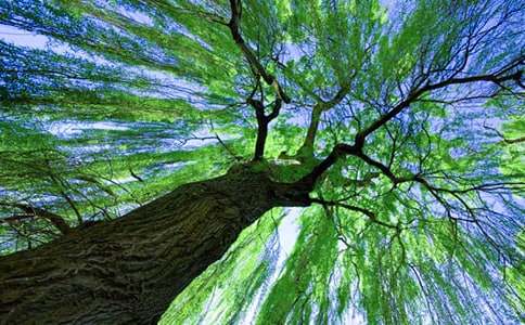 �P�ڴ�����������ģ����x34ƪ��