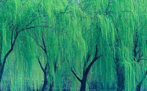 �����������ģ�ͨ��10ƪ��