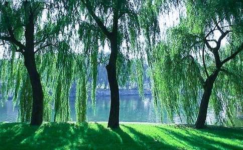 �^����������600��