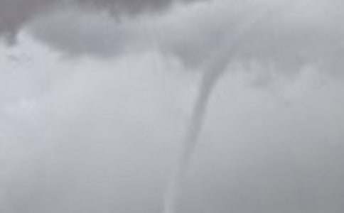 �����L����