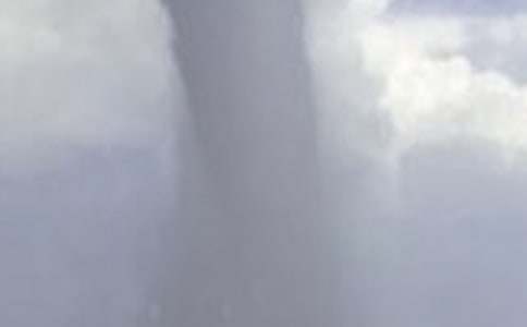 �������������L����