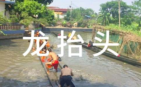 ���¶���̧�^��������800��