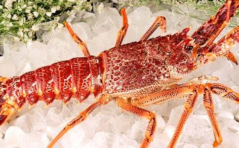 ����r���ģ����x37ƪ��