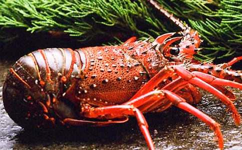 ��؂��С���rС�W���@������