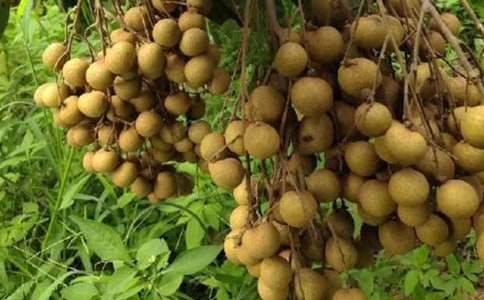 ���l���۳���r_700��