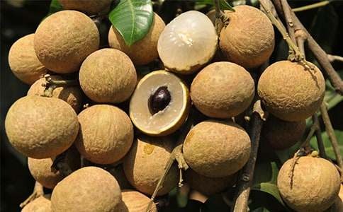 ��������300��7ƪ