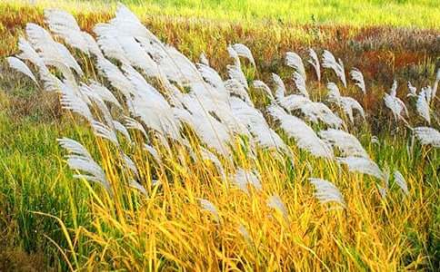 �������JȔ����