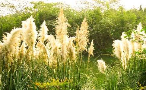 �茑�JȔ�����ģ�ͨ��59ƪ��