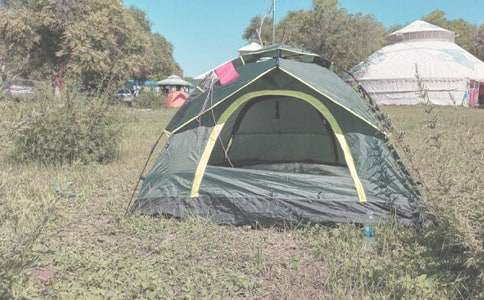 �����á�¶�I����300�֣�ͨ��65ƪ��