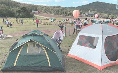 ¶�I����600����ƪ