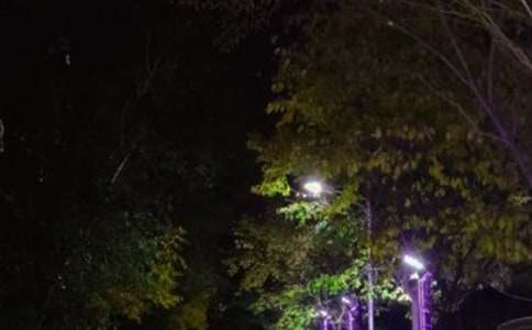 ����������Ӱ��������·����