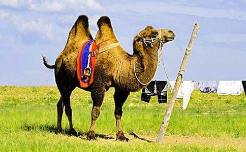 ��Ͱ������˵Ĺ���